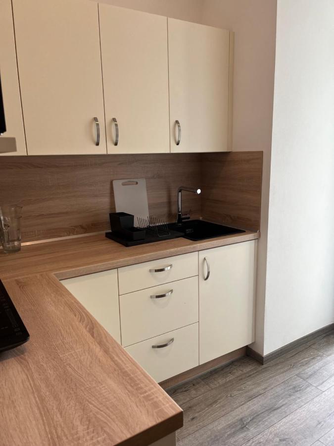 Moderni Apartman Uprostred Sumavske Prirody Zdikovec Eksteriør billede